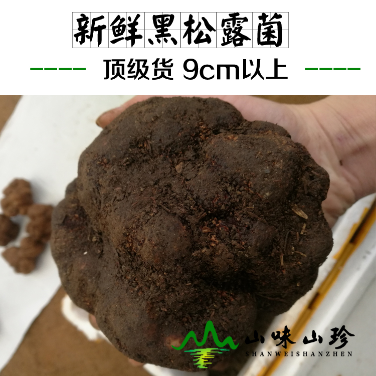 新鲜黑松露顶级货 新鲜黑松露顶级货