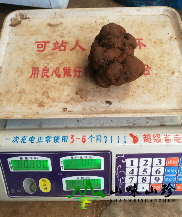 新鲜黑松露单个300克以上 新鲜黑松露单个300克以上