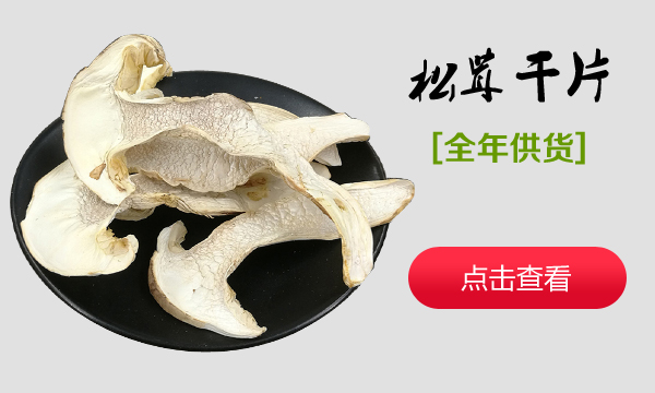 松茸干片
