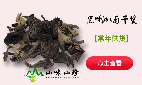 黑喇叭菌野生菌