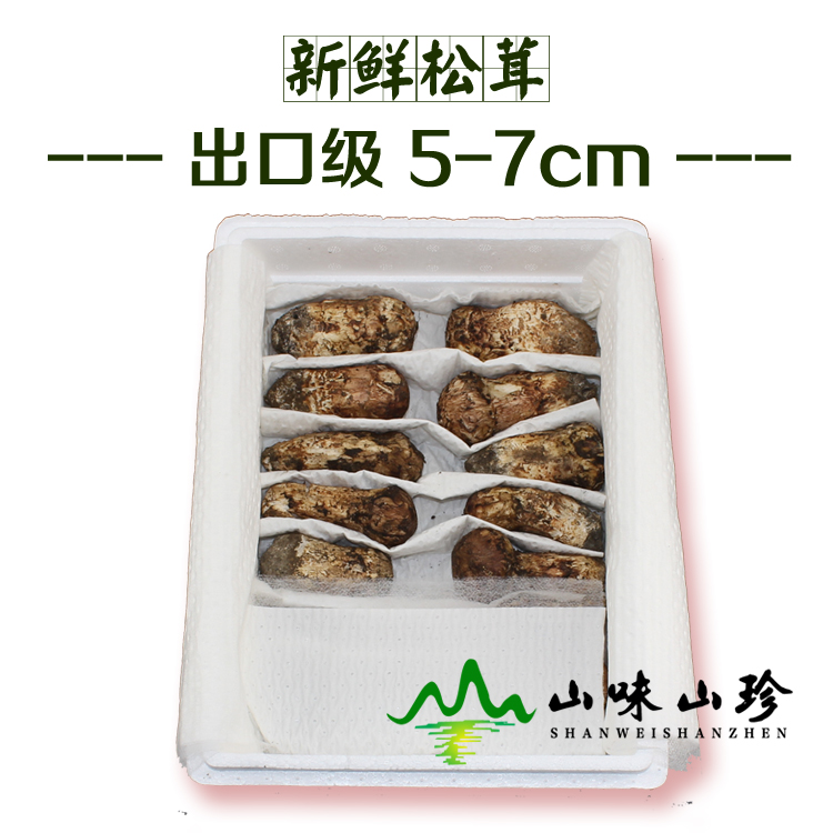 新鲜松茸5-7cm 出口级