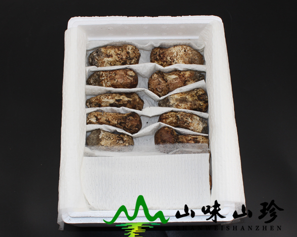 新鲜松茸5-7cm1公斤装