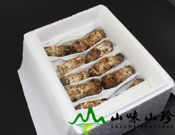 新鲜松茸7-9cm多少钱一斤