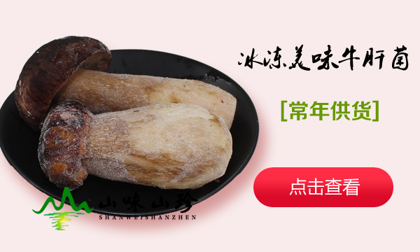 冰冻美味牛肝菌