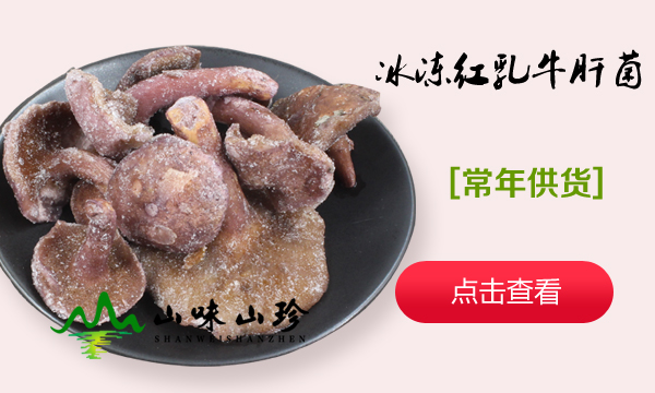 冰冻红乳牛肝菌