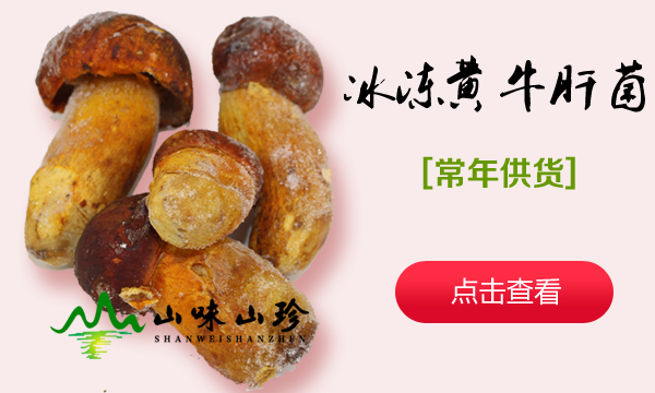 冰冻黄牛肝菌