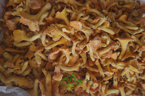 冰冻鸡油菌批发