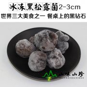 冰冻黑松露2-3cm