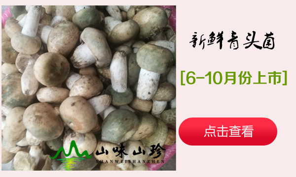 新鲜青头菌