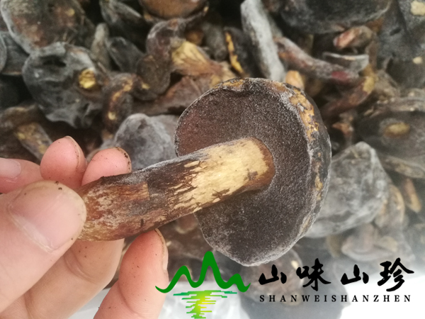 冰冻黑牛肝菌批发