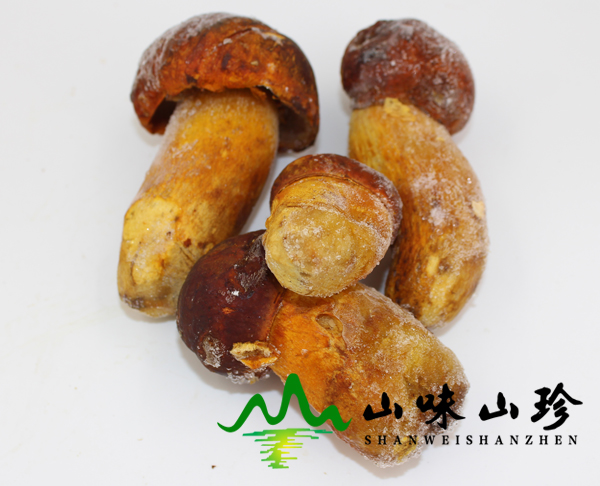 冰冻黄牛肝菌