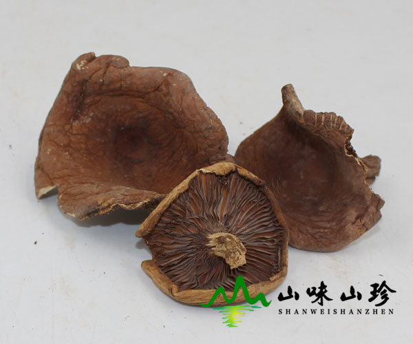 干品奶浆菌图二
