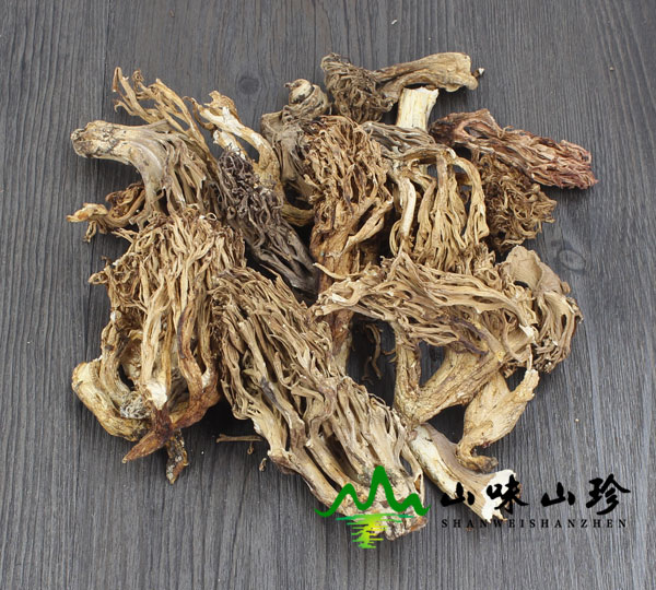 干品珊瑚菌图一