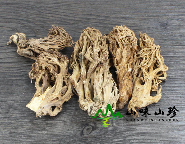 干品珊瑚菌图二
