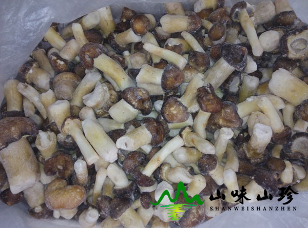 冰冻姬松茸图三