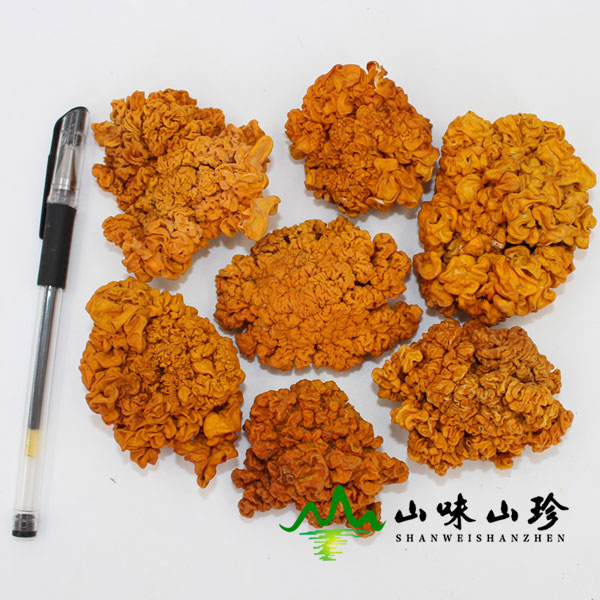 干品金耳图二
