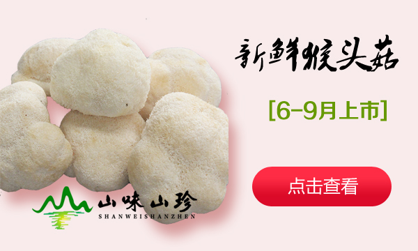 新鲜猴头菇