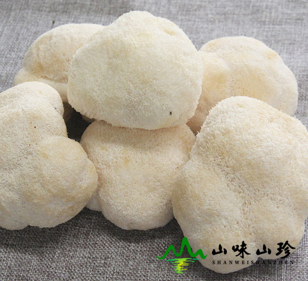 新鲜猴头菇图二