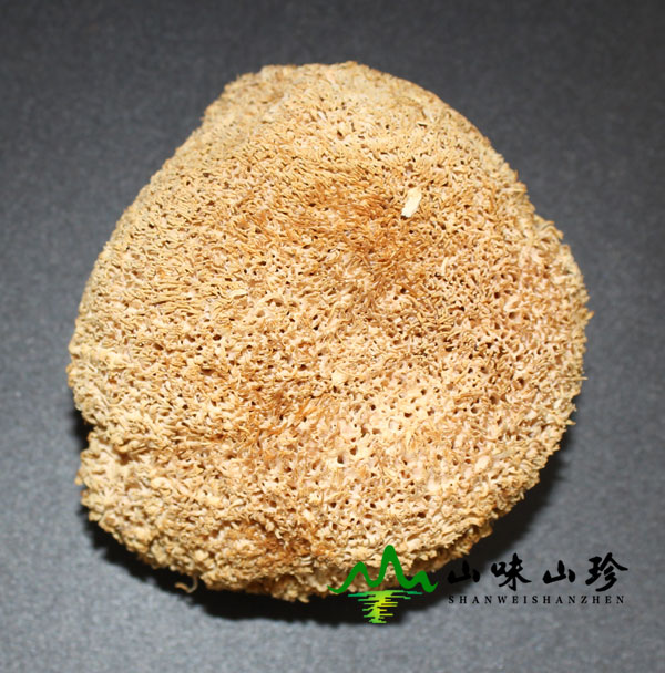 干品猴头菇图一