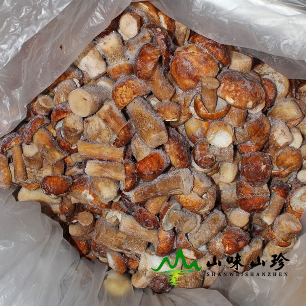 冰冻美味牛肝菌图二