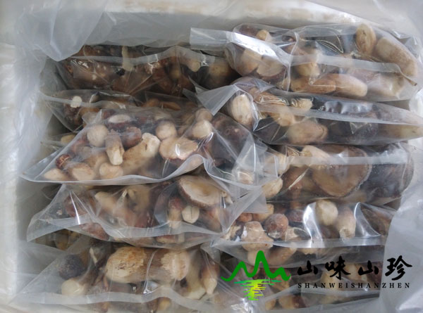 冰冻美味牛肝菌图三