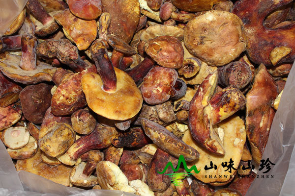 冰冻红葱菌图二