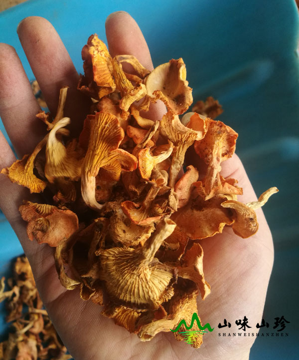 干品鸡油菌图二