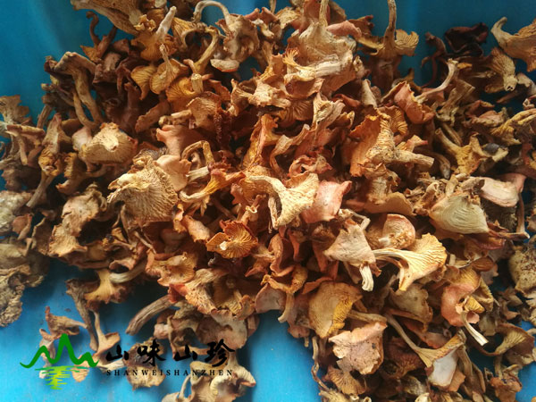 干品鸡油菌图三