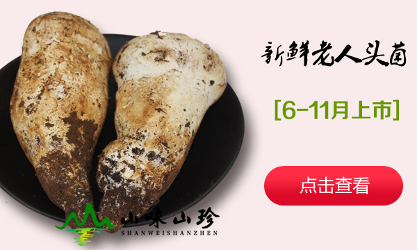新鲜老人头菌
