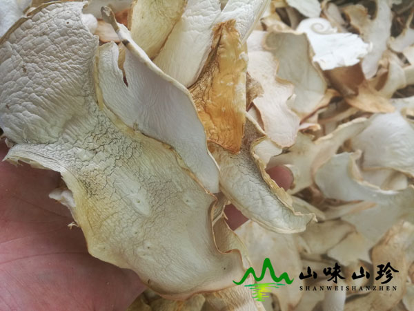干品老人头菌图三