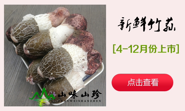 新鲜竹荪