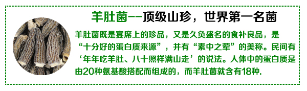 羊肚菌干货