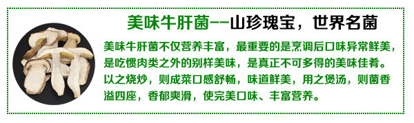 美味牛肝菌干片