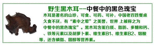 野生黑木耳