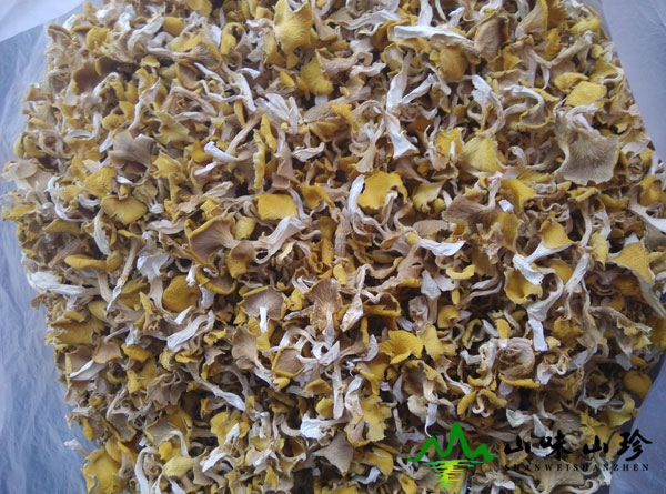干品黄金菇
