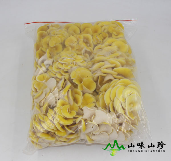 新鲜黄金菇图四