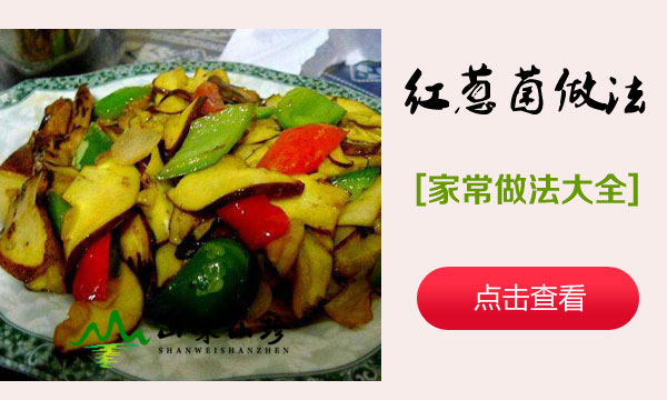 红葱牛肝菌做法