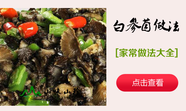 白参菌做法