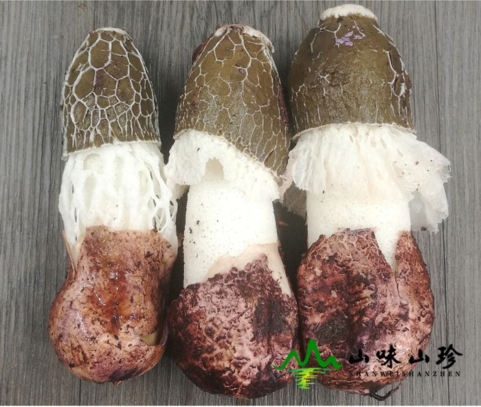 新鲜竹荪批发