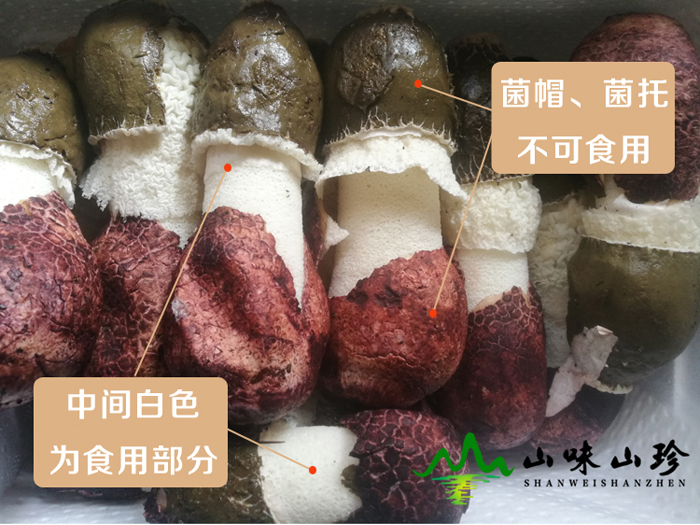 新鲜竹荪可食用部分