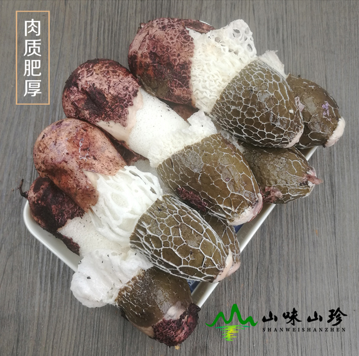 新鲜竹荪肉质肥厚