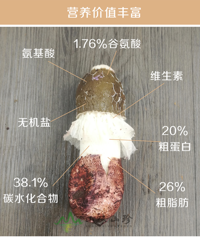 新鲜竹荪营养价值