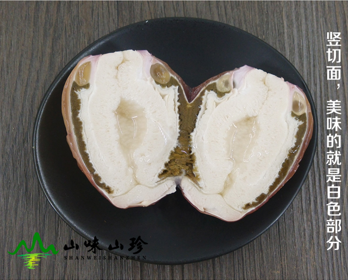 竹荪蛋竖切面图