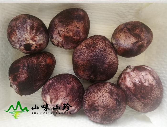 新鲜竹荪蛋包装