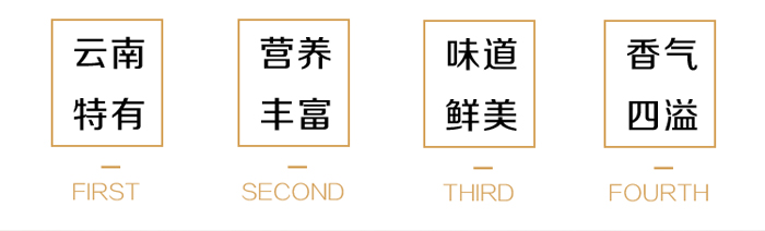 新鲜美味牛肝菌特点