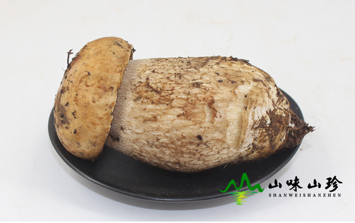 新鲜美味牛肝菌批发