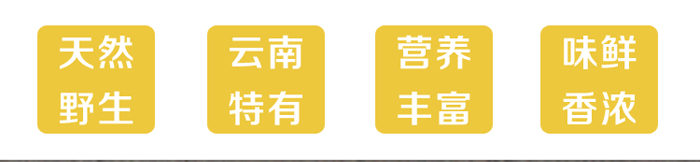 新鲜黄牛肝菌特点 新鲜黄牛肝菌特点