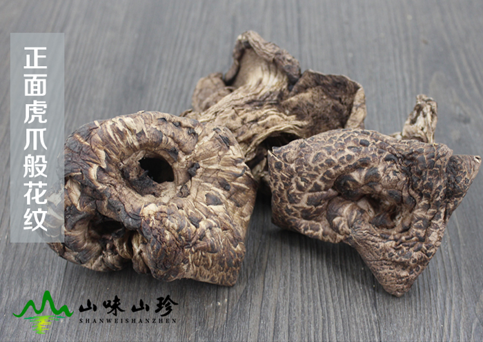 干黑虎掌菌正面图