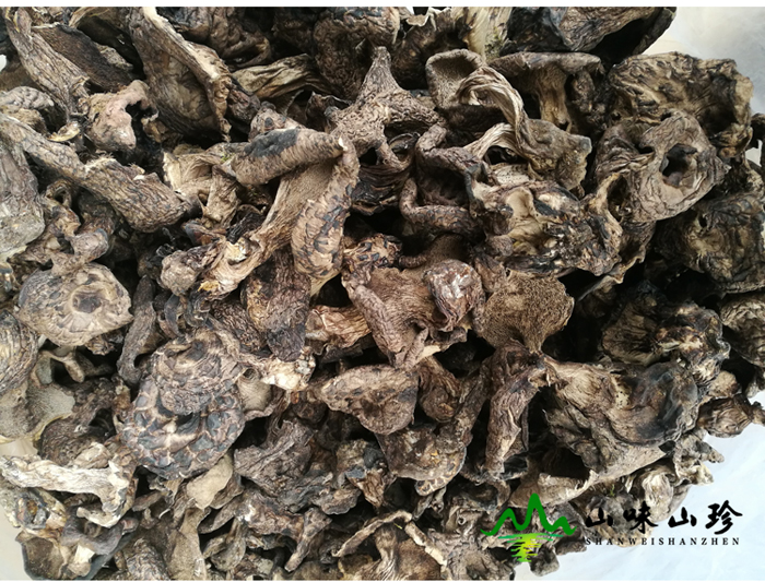 黑虎掌菌批发价格