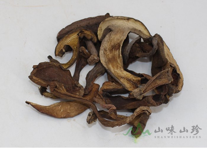 干货黑牛肝菌批发
